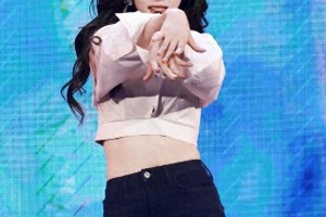 精选图片集锦：视觉盛宴一览
