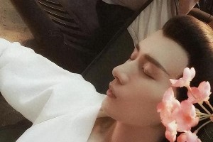 成毅被黑真相：娱乐圈黑水背后的商业竞争
