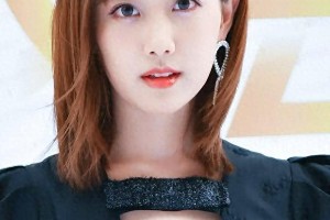 精彩图片集锦：视觉盛宴一览