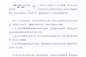 王心凌音乐节退票风波：合约与宣传落差引争议