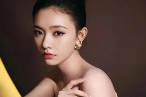 沈腾林允绯闻风波：生子传闻与法律维权