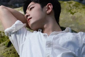 精选图片集锦：视觉盛宴一览