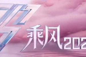 《浪姐6》阵容曝光：歌手少、C位难定、初心不再？
