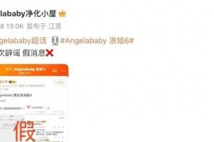 马丽回应未参加浪姐6：不敢跳，等沈腾